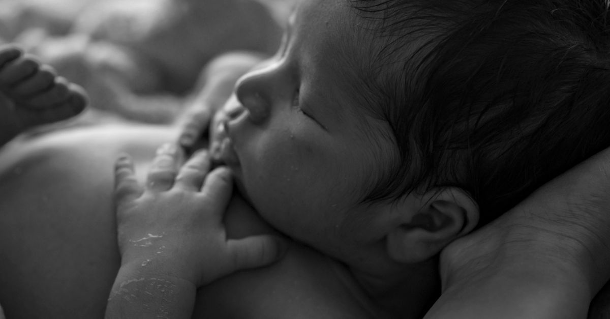 Newborn Photographer Charleston SC: Infant Safety and Macro Lighting